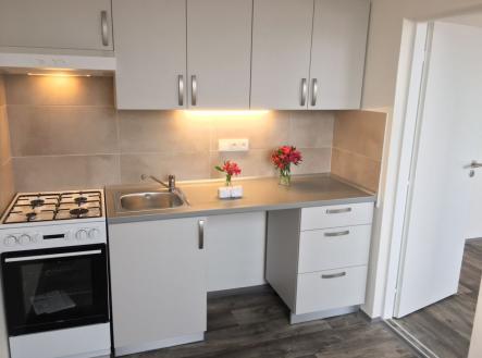 Pronájem bytu, 1+1, 33 m²