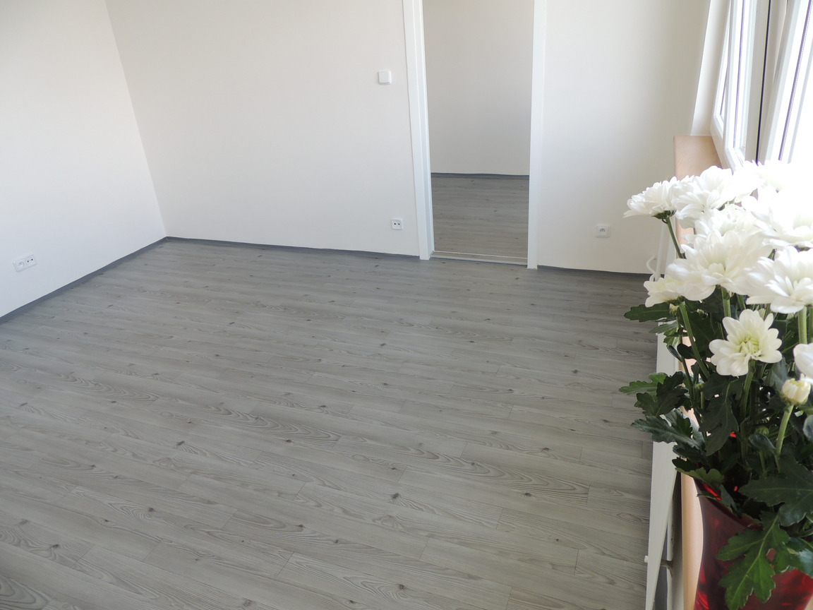 Podnájem bytu 2+1 44 m2, ul. Ladislava Hosáka 1000/11, Ostrava