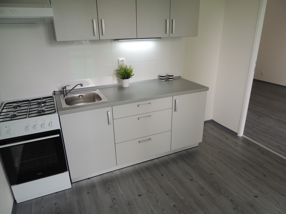 Podnájem bytu 1+1 38 m2, ul. Gen. Hrušky 1215/25, Ostrava - Mariánské Hory