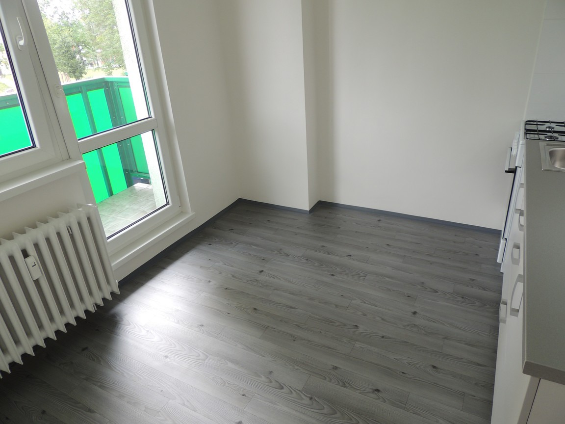 Podnájem bytu 1+1 38 m2, ul. Gen. Hrušky 1215/25, Ostrava - Mariánské Hory