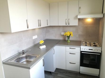 Pronájem bytu, 1+1, 39 m²