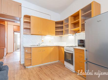 Pronájem bytu, 1+1, 48 m²