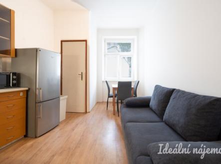 Pronájem bytu, 1+1, 48 m²