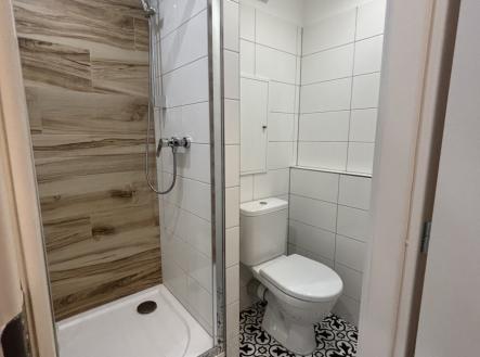 Pronájem bytu, 1+kk, 30 m²