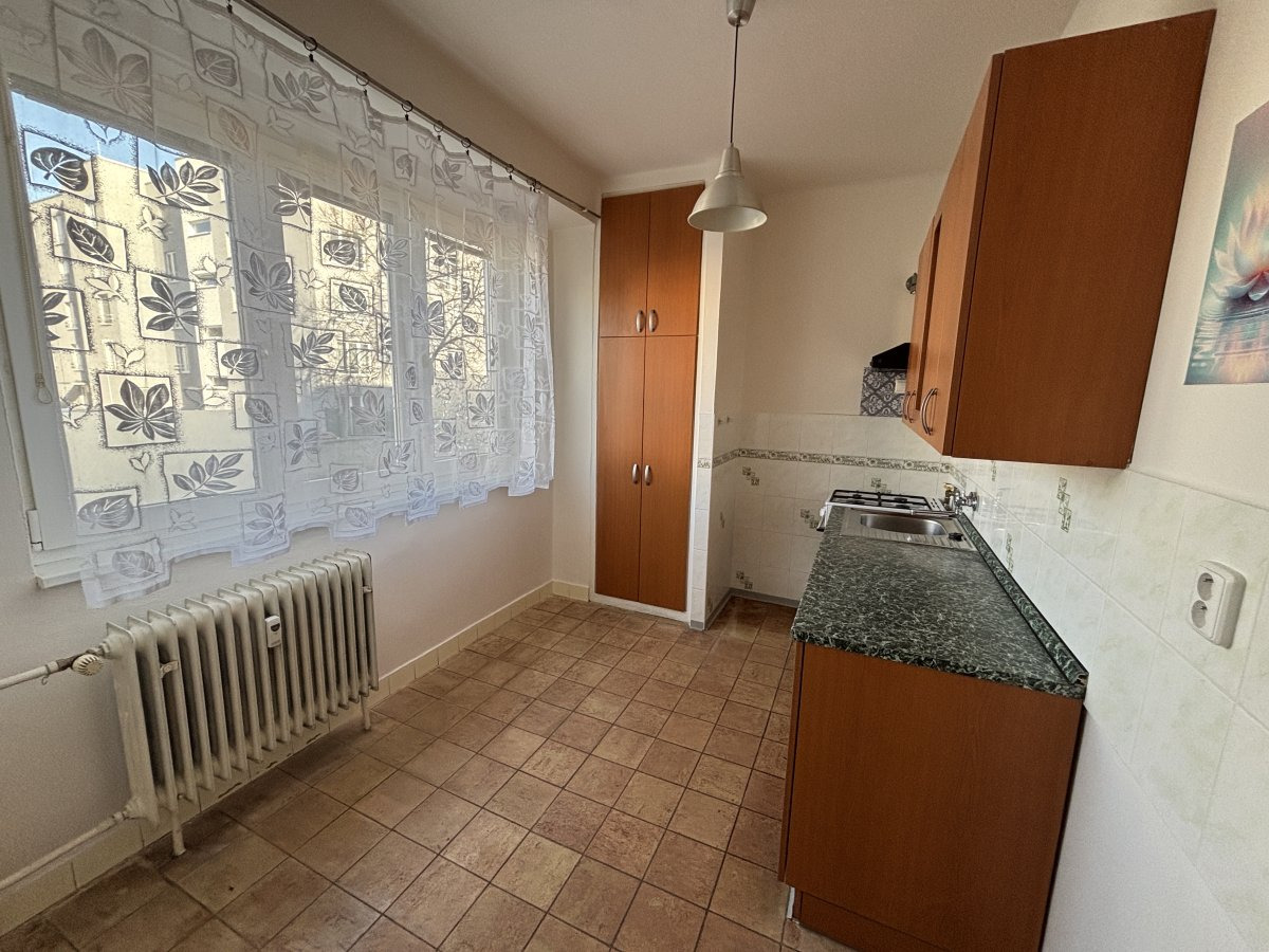 Pronájem bytu 2+1, Štefánikova, Lobeček, 64 m2