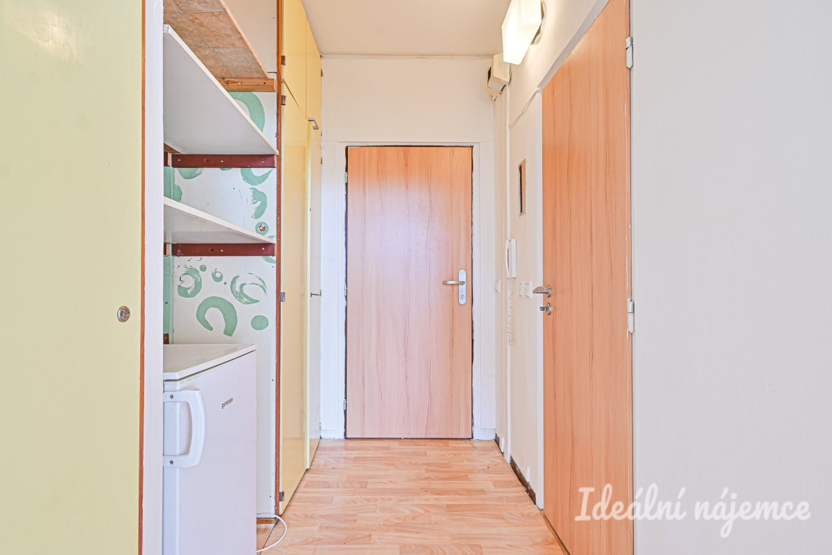 Pronájem bytu 1+kk, Halasovo náměstí, Lesná, 12.800 Kč/měs, 22 m2