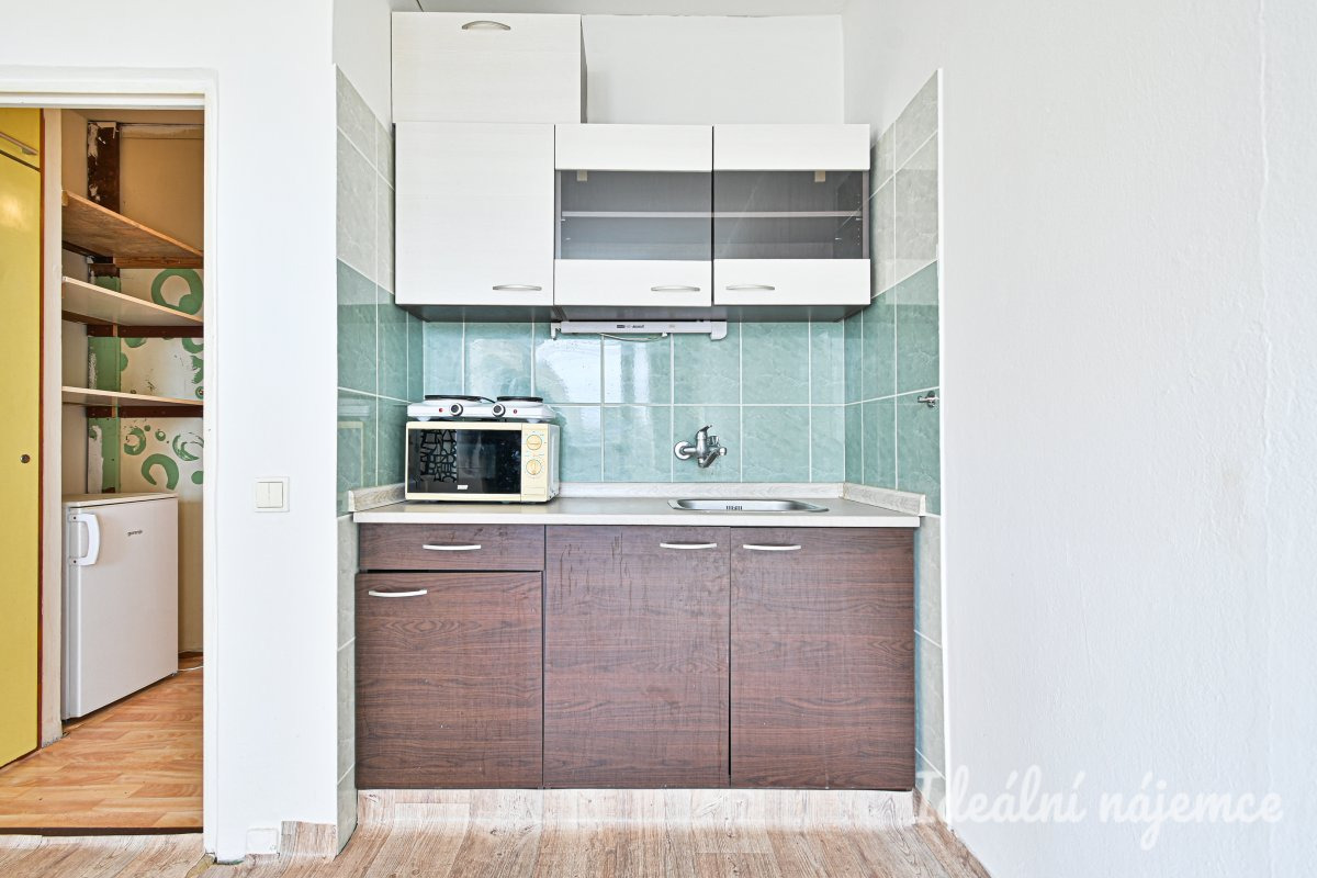 Pronájem bytu 1+kk, Halasovo náměstí, Lesná, 11.800 Kč/měs, 22 m2