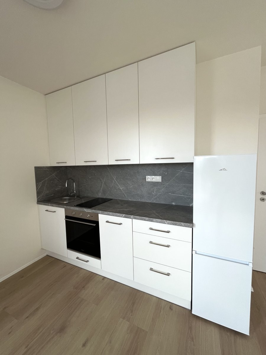 Pronájem bytu 1+kk, Dobrovodská, České Budějovice 5,  Kč/měs, 41 m2