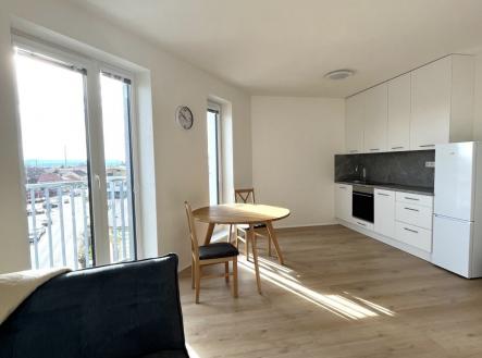 Pronájem bytu, 1+kk, 41 m²