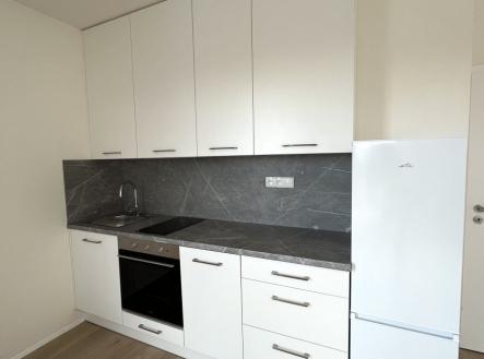 Pronájem bytu, 1+kk, 41 m² obrázek