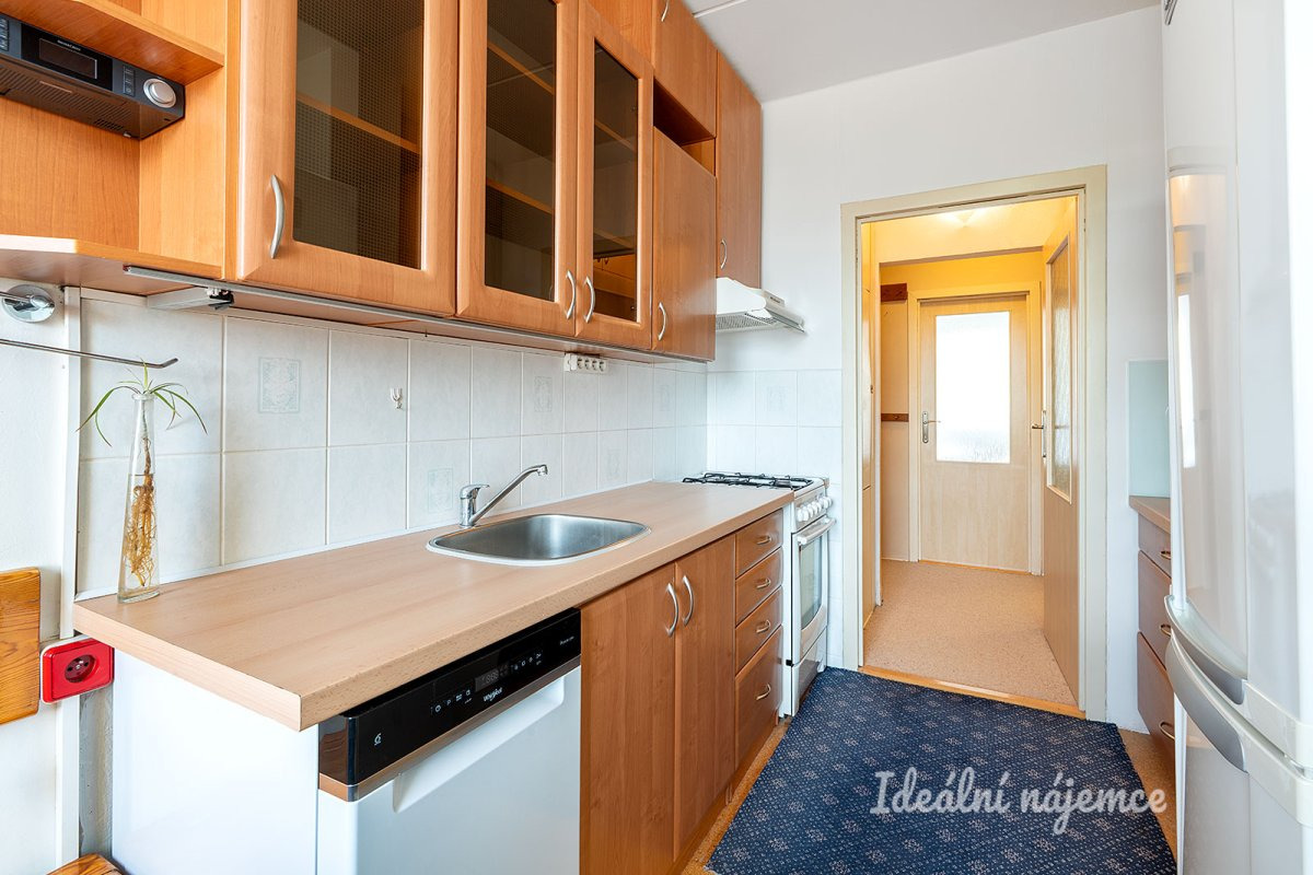 Pronájem bytu 3+1