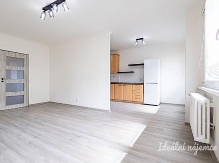 Pronájem bytu, 3+1, 74 m²