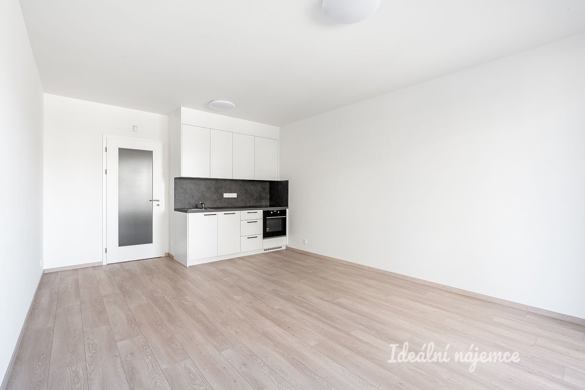 Pronájem bytu 1+kk, Gerstelova, Vysočany,  19900 Kč/měs, 33 m2