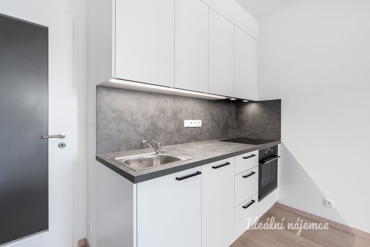 Pronájem bytu 1+kk, Gerstelova, Vysočany,  19900 Kč/měs, 33 m2