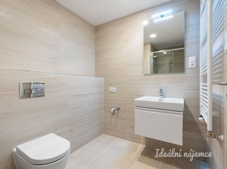Pronájem bytu, 1+kk, 33 m², Praha – náhled fotky 4