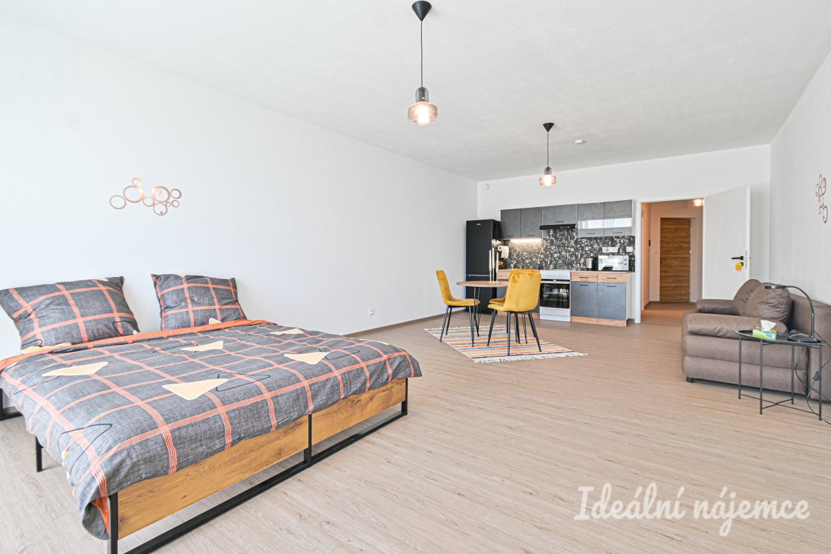 Pronájem bytu 1+kk, Faměrovo nám., Černovice, 16000 Kč/měs, 49 m2