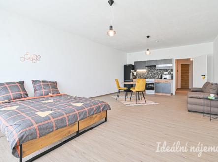 Pronájem bytu, 1+kk, 49 m²