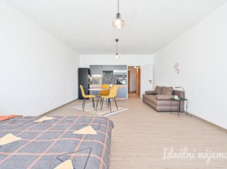 Pronájem bytu, 1+kk, 49 m²