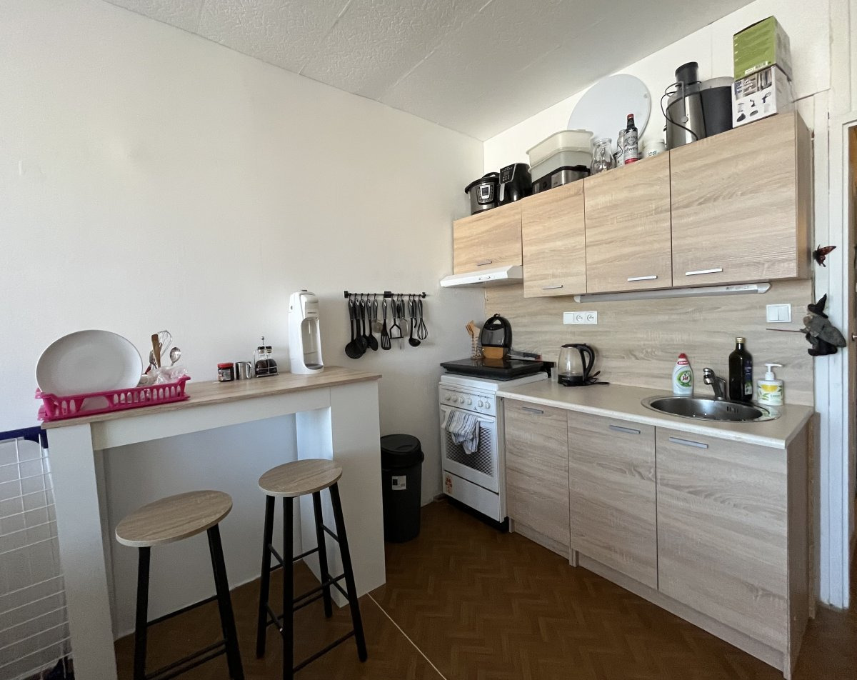Pronájem bytu 1+kk, K. Chocholy, České Budějovice 2, 9900 Kč/měs, 29 m2