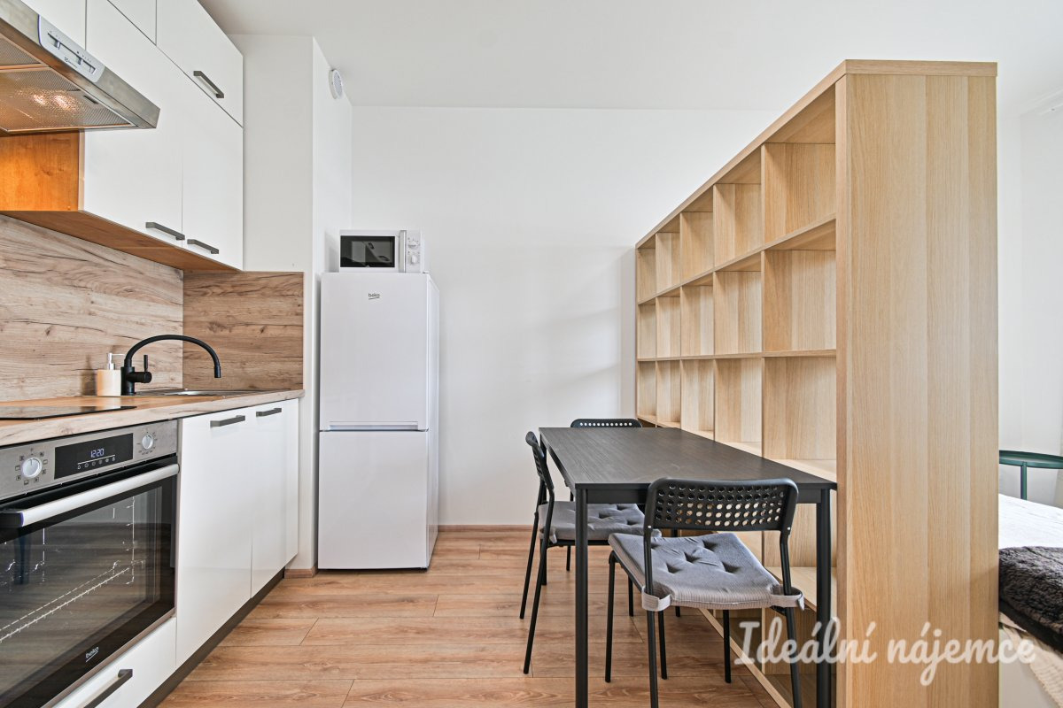 Pronájem bytu 1+kk, Spolková, Zábrdovice, 13 900 Kč/měs, 34 m2