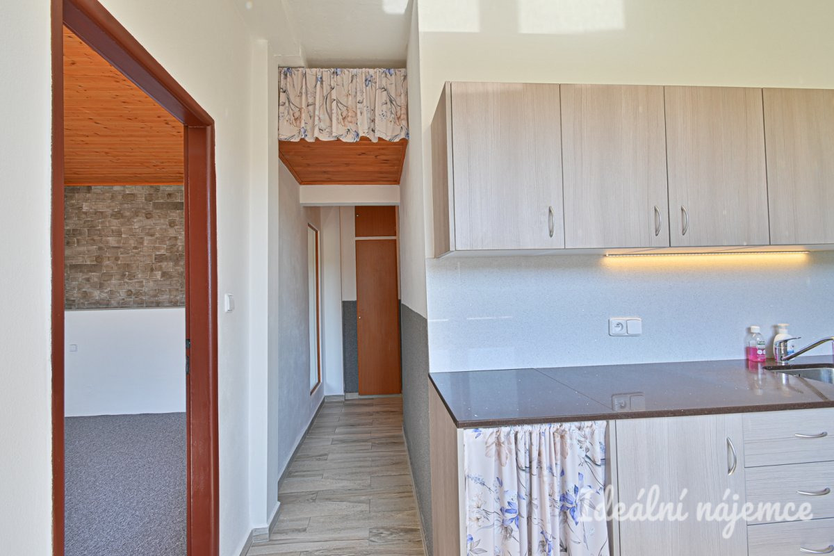 Prodej bytu 1+1 35 m² Nížkovice