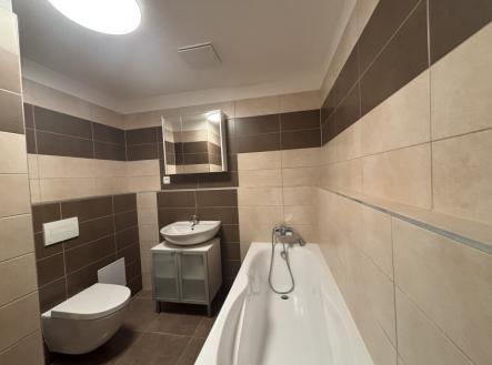 Pronájem bytu, 2+kk, 47 m²