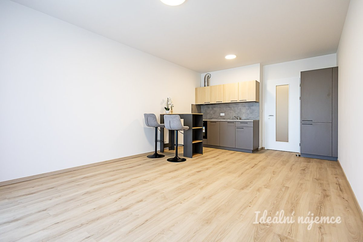 Pronájem bytu 1+kk, Poděbradská, Vysočany, 21900 Kč/měs, 35 m2