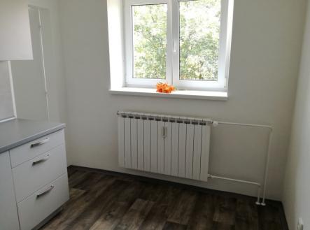 Pronájem bytu, 2+1, 55 m²