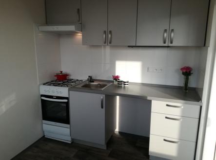 Pronájem bytu, 2+1, 44 m²