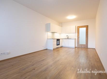 Pronájem bytu, 1+kk, 34 m²
