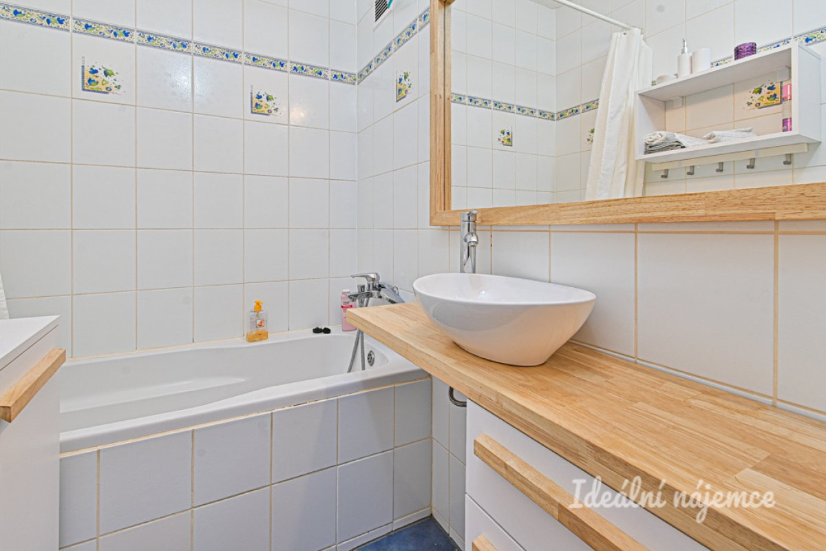 Pronájem bytu 1+1, Renčova, Řečkovice, 15 500 Kč/měs, 45 m2