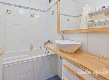 Pronájem bytu, 1+1, 45 m²