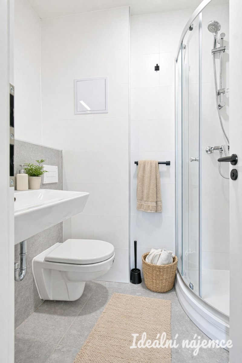 Pronájem bytu 1+1, Bubeníčkova, Židenice, 14000 Kč/měs, 25 m2