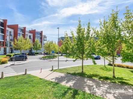 Pronájem bytu, 1+kk, 24 m²