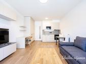 Pronájem bytu, 1+kk, 35 m²