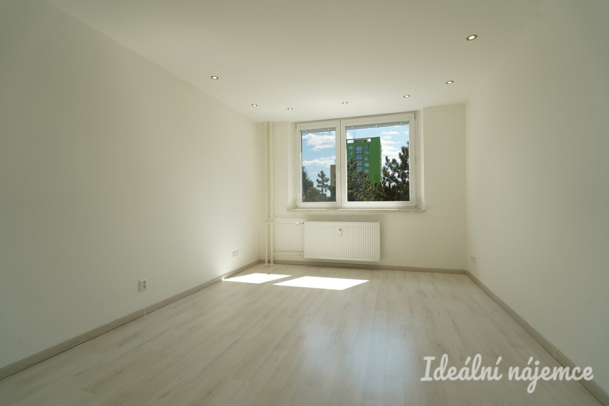 Pronájem bytu 1+1, Žitná, Řečkovice,  12.900 Kč/měs, 28 m2