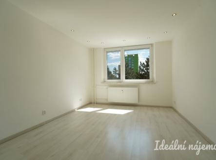 Pronájem bytu, 1+1, 28 m²