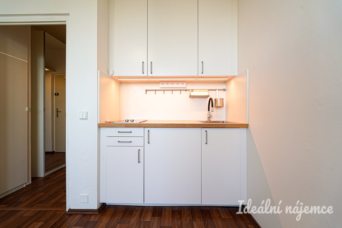Pronájem bytu 1+kk, Halasovo náměstí, Lesná,  10.000 Kč/měs, 20 m2