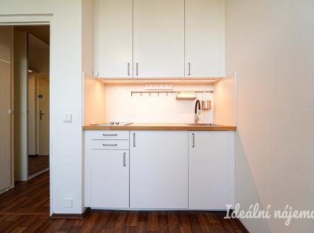 Pronájem bytu, 1+kk, 20 m²
