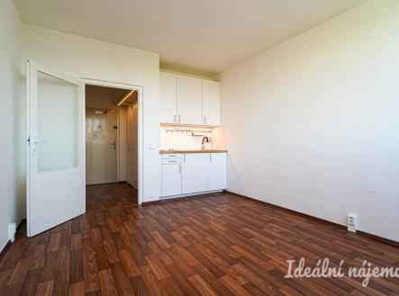 Pronájem bytu, 1+kk, 20 m²