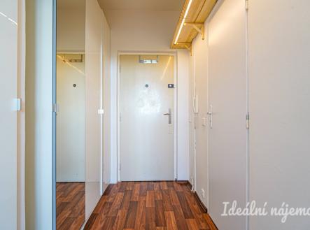 Pronájem bytu, 1+kk, 20 m²