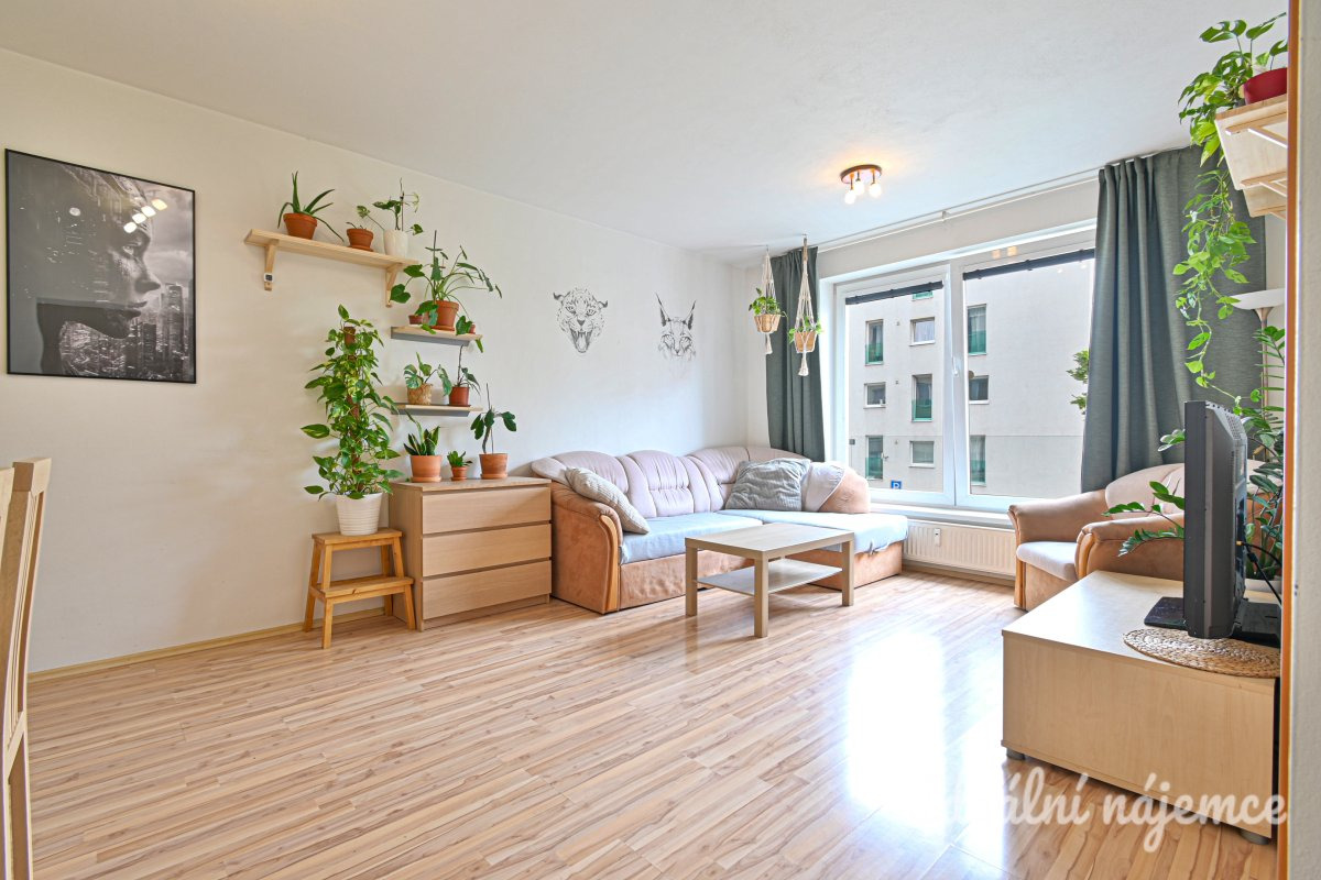 Pronájem bytu 2+kk, Zderadova, Trnitá, 58 m2