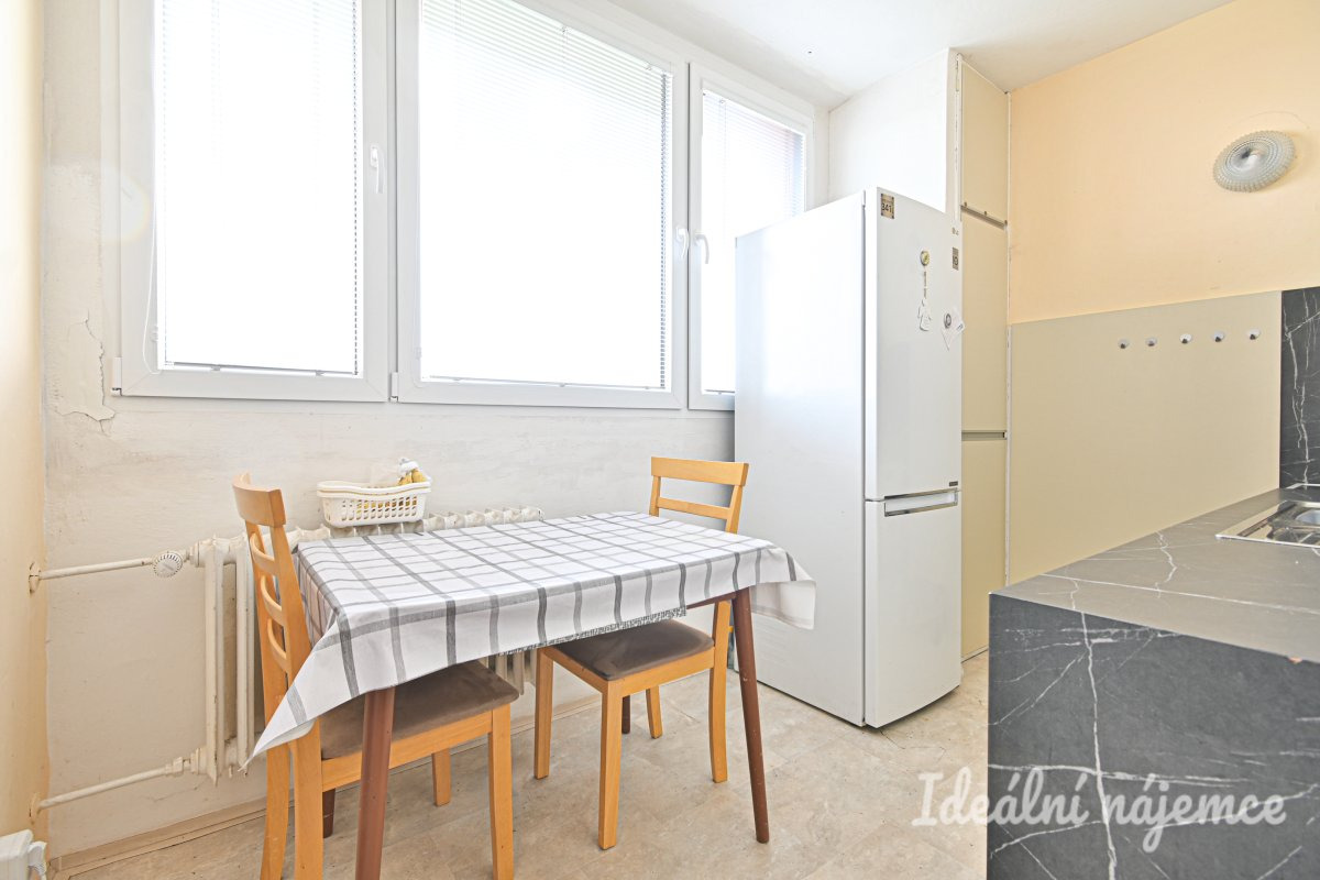 Pronájem bytu 1+1, Fillova, Lesná, 16 500 Kč/měs, 37 m2