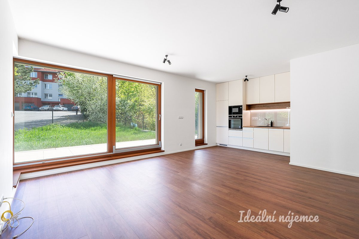 Pronájem bytu 2+kk, Lučištníků, Radlice, 67 m2