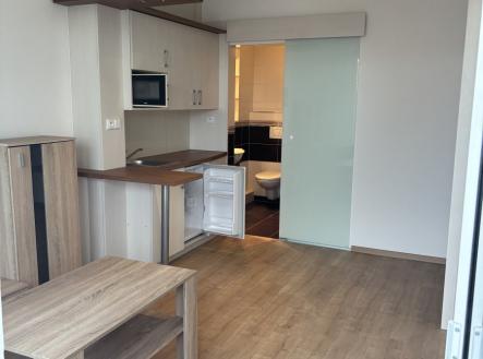 Pronájem bytu, 1+kk, 22 m²