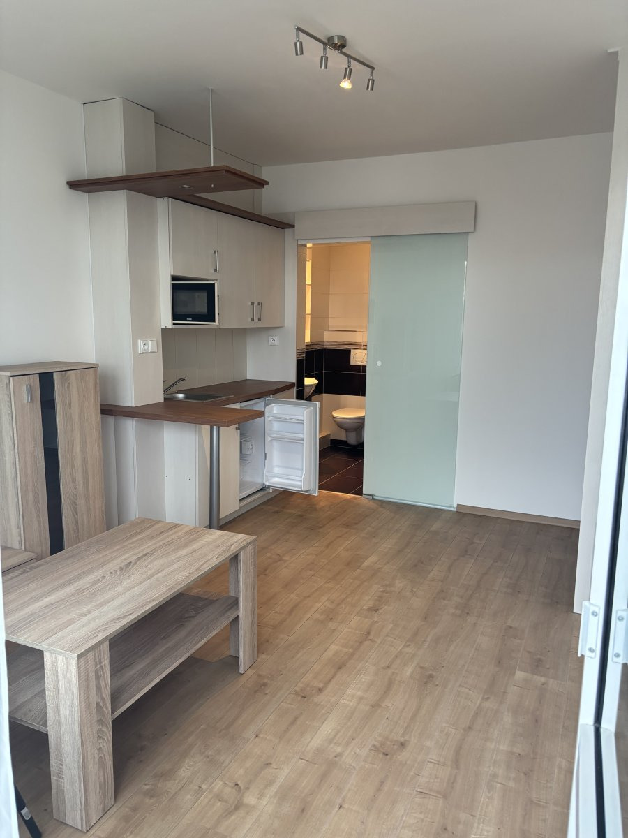 Pronájem bytu 1+kk, Brožíkova, Nový Hradec Králové, 11 000 Kč/měs, 22 m2