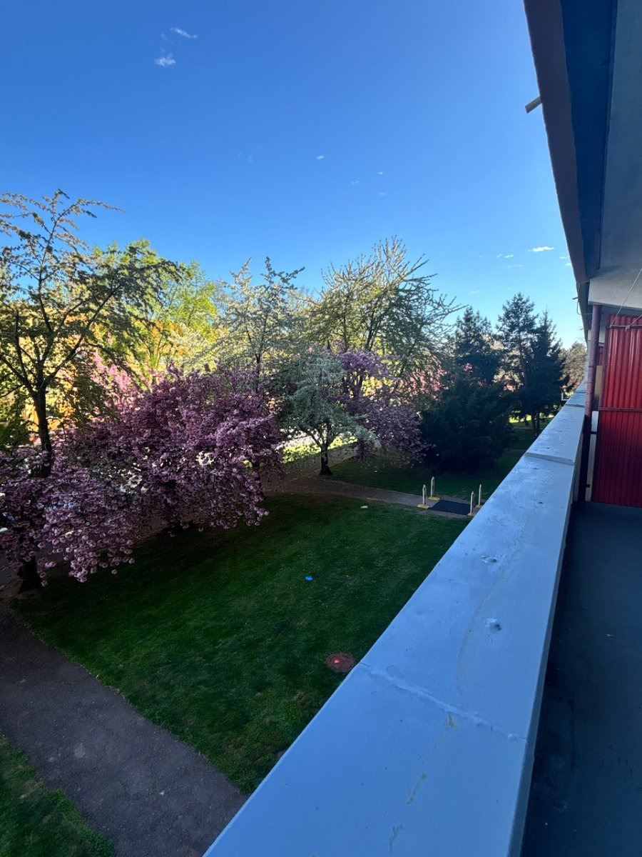 Pronájem bytu 1+kk, Jungmannova, Pražské Předměstí, 13900 Kč/měs, 39 m2