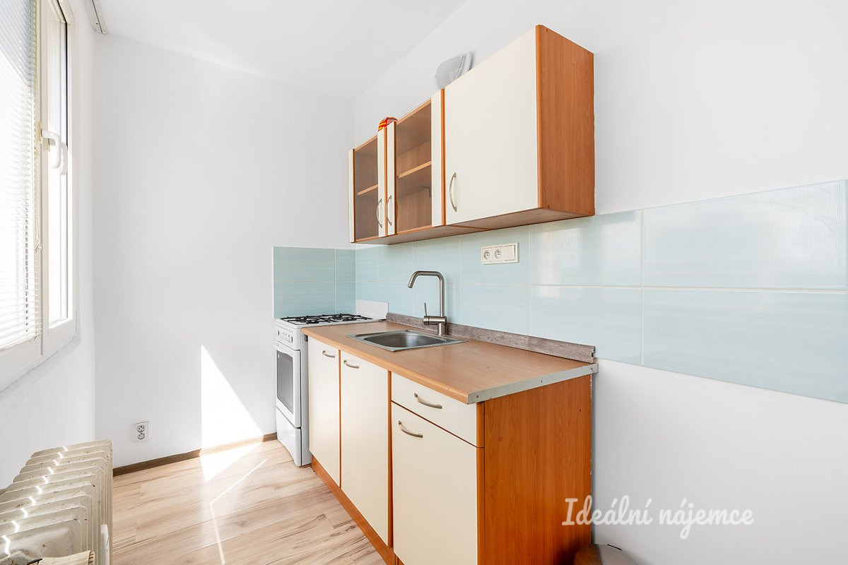 Pronájem bytu 1+kk, Vitry, Kročehlavy, 25 m2