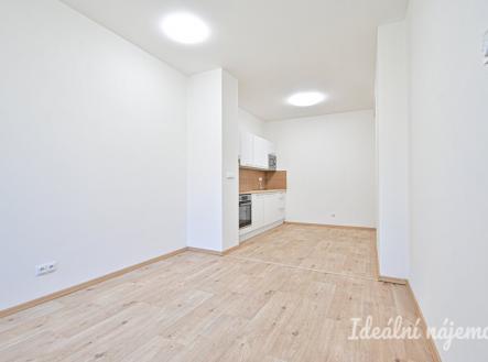 Pronájem bytu, 2+kk, 45 m²