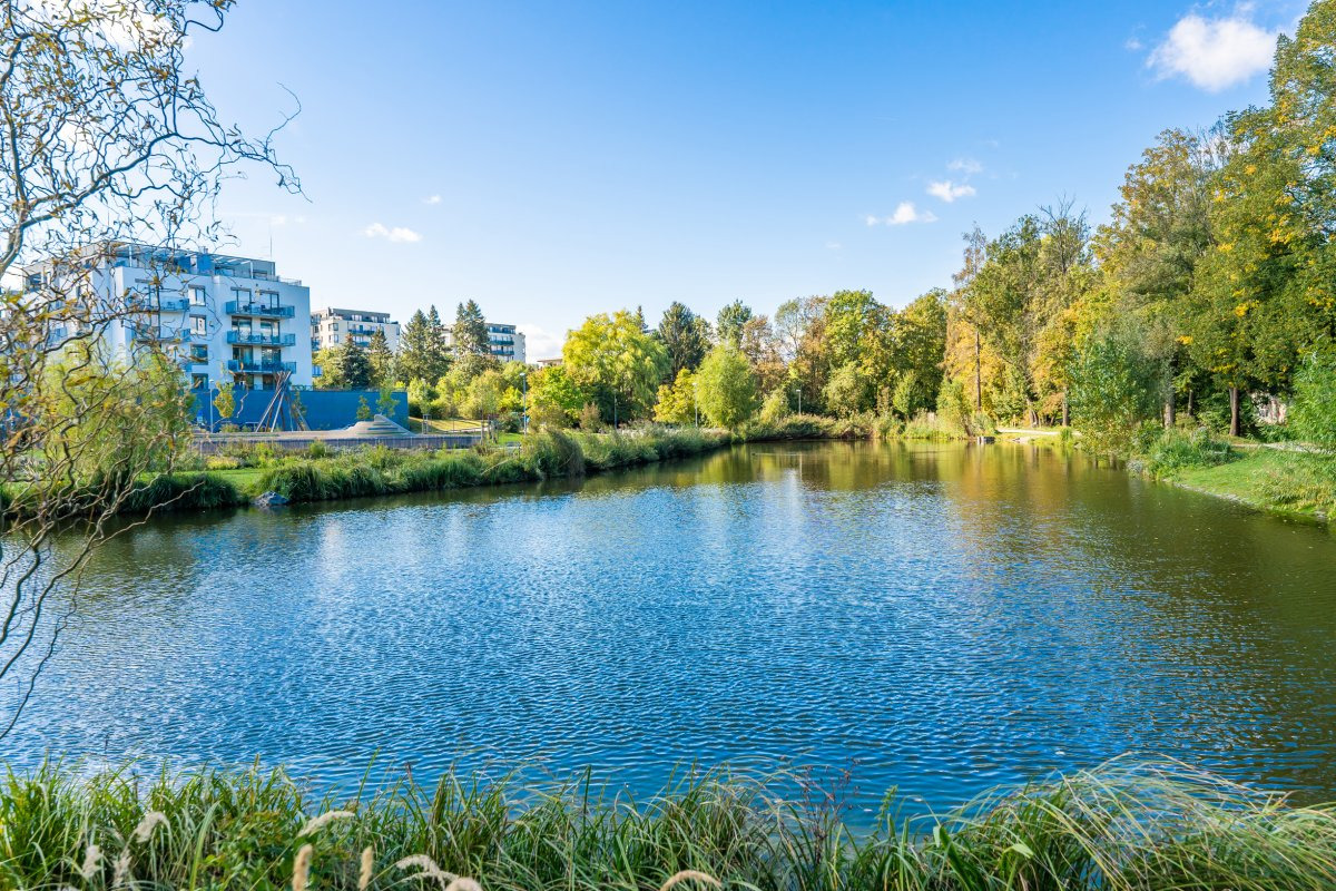 Pronájem bytu 1+kk, Poděbradská, Vysočany,  43 m2